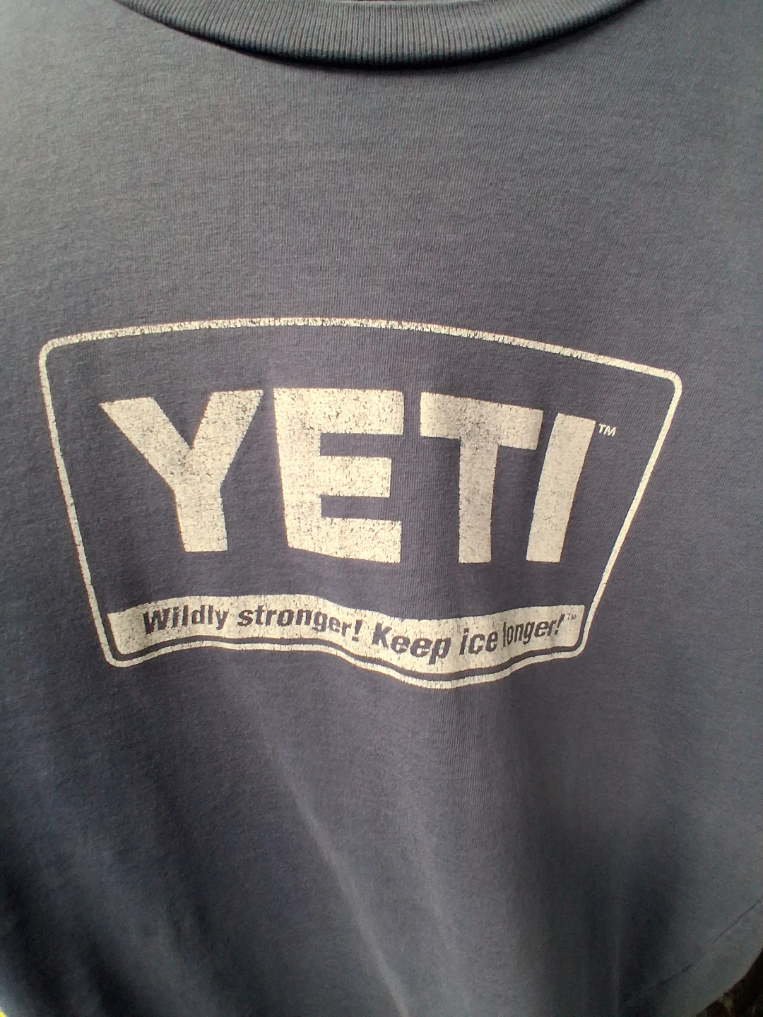 Yeti Graphic T-Shirt Blue Medium size - photo 2