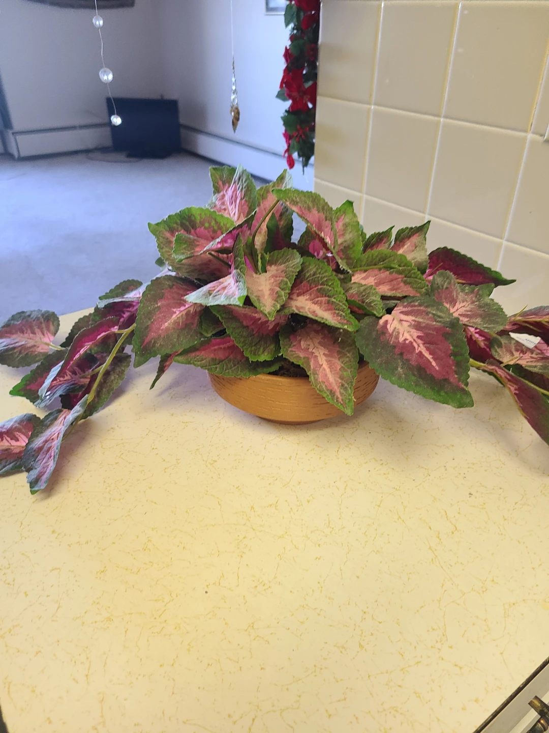 Artificial Coleus Plant in Mustard Pot - photo 3