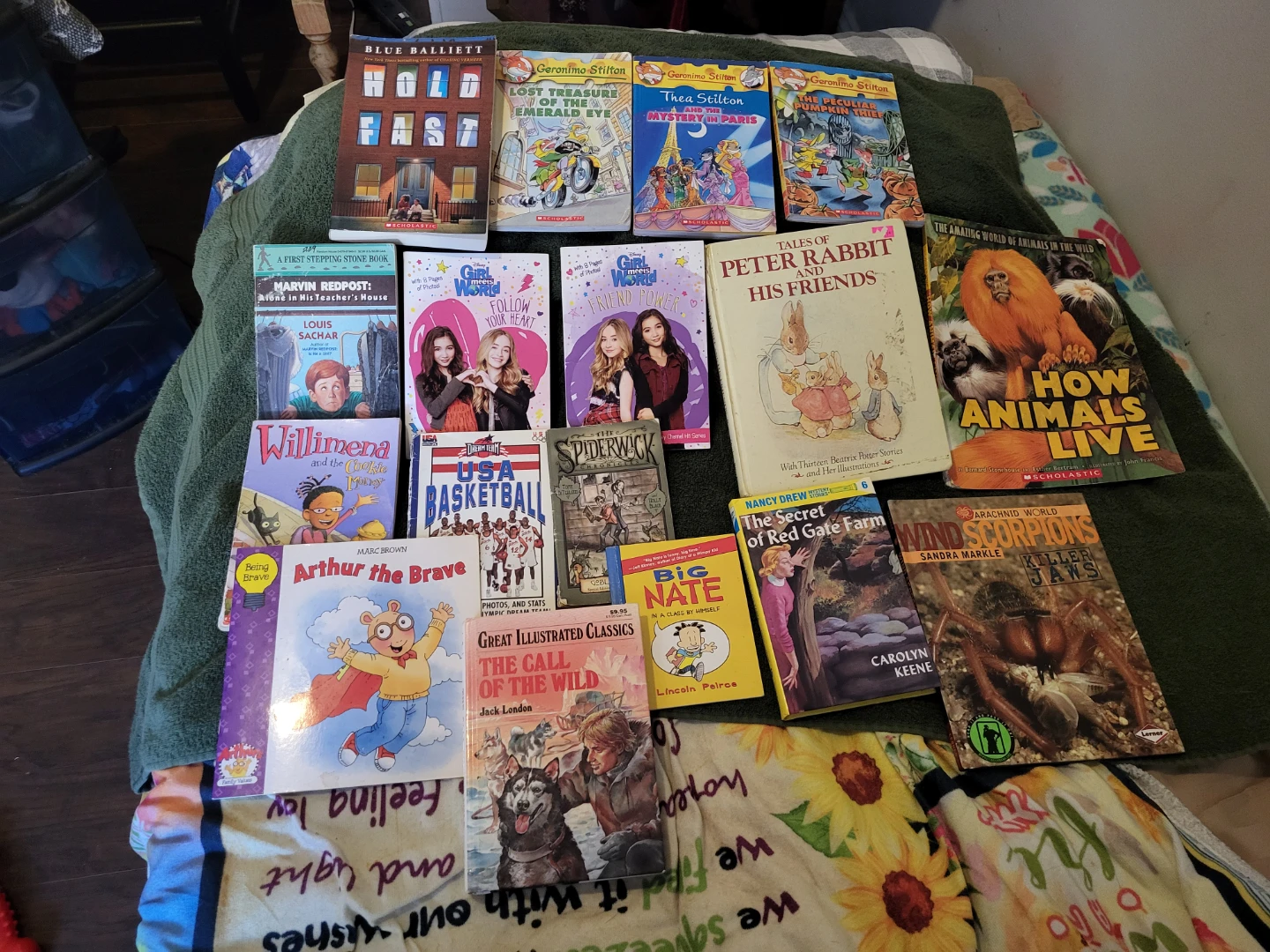 Lot of 15 Assorted Children's Books - photo 2