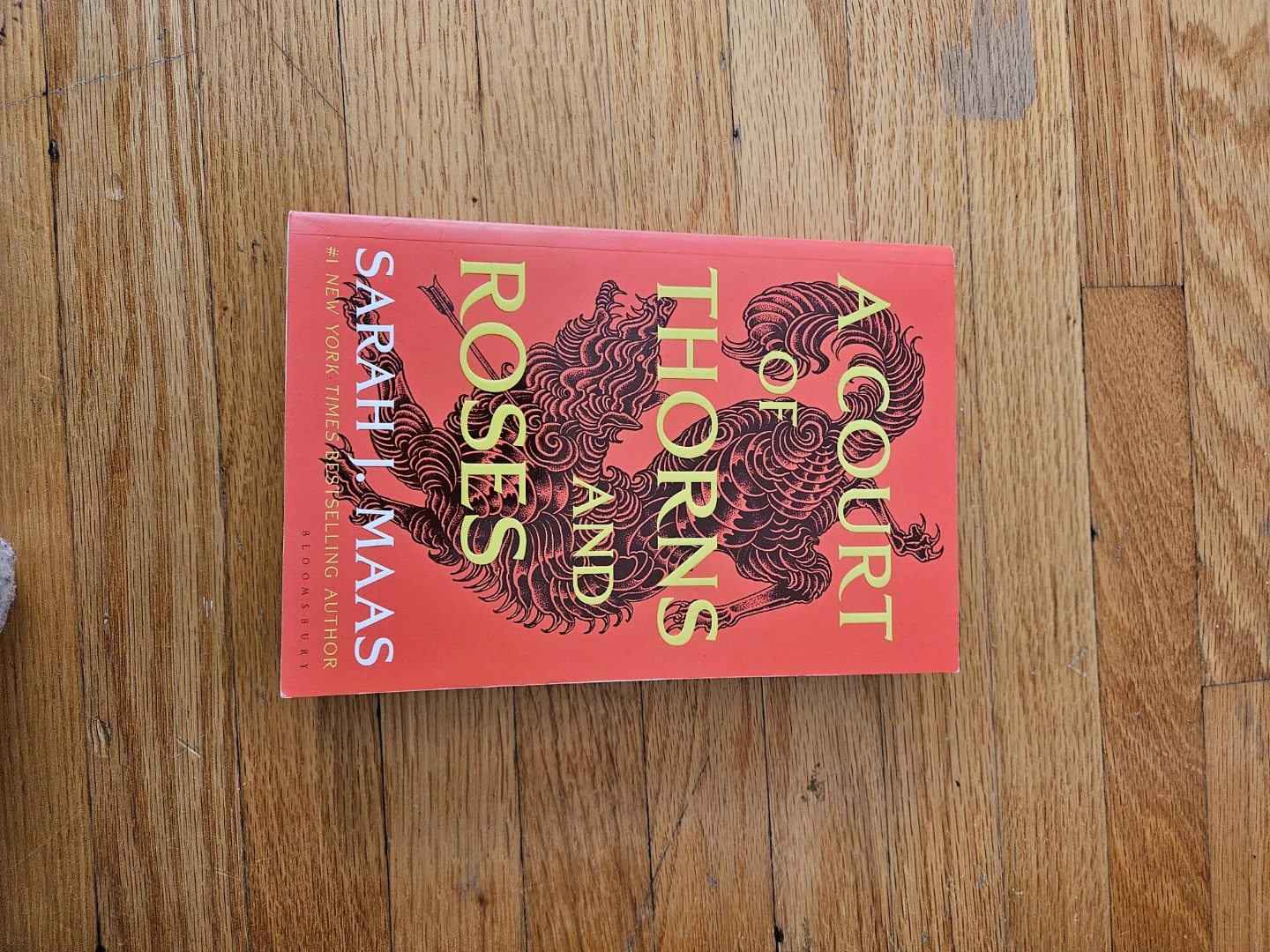 A Court of Thorns and Roses by Sarah J. Maas