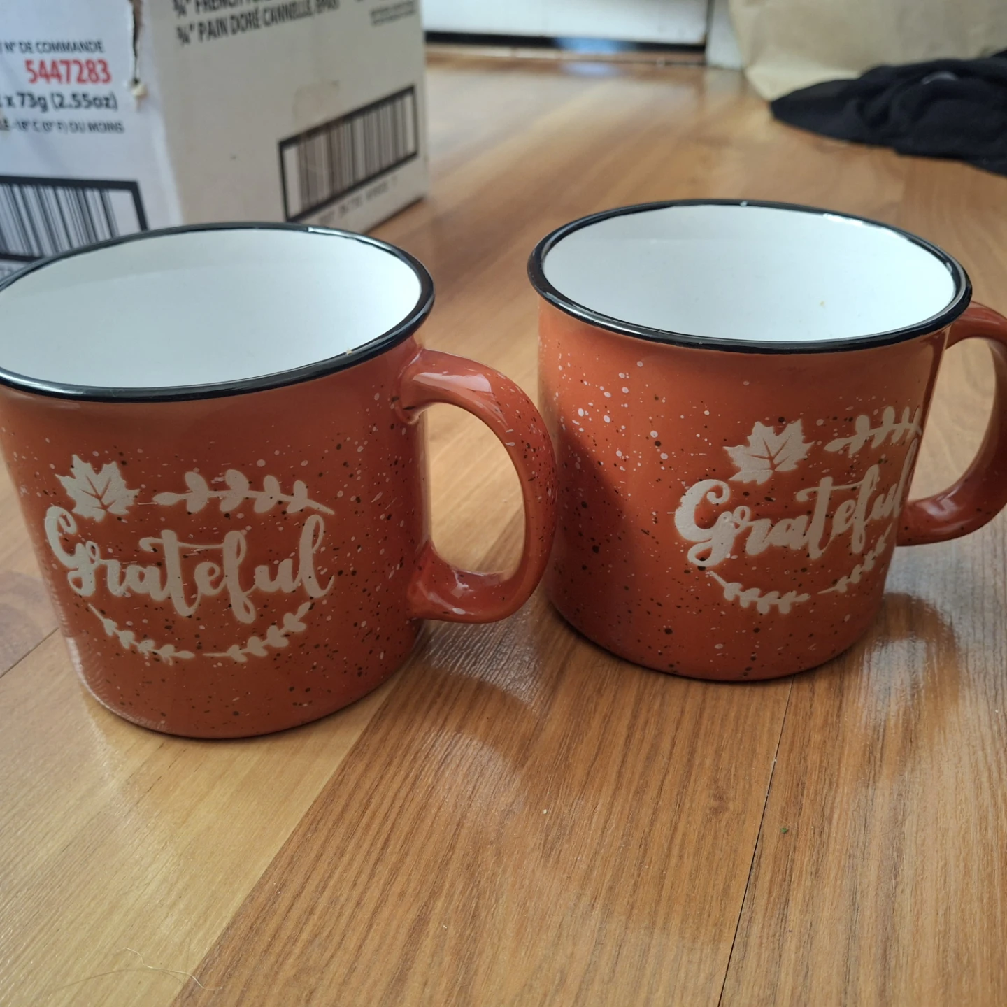 Two Grateful Campfire Mugs $5.00 for 2