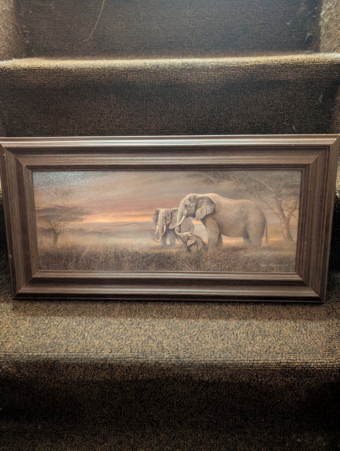 Elephant family landscape framed print