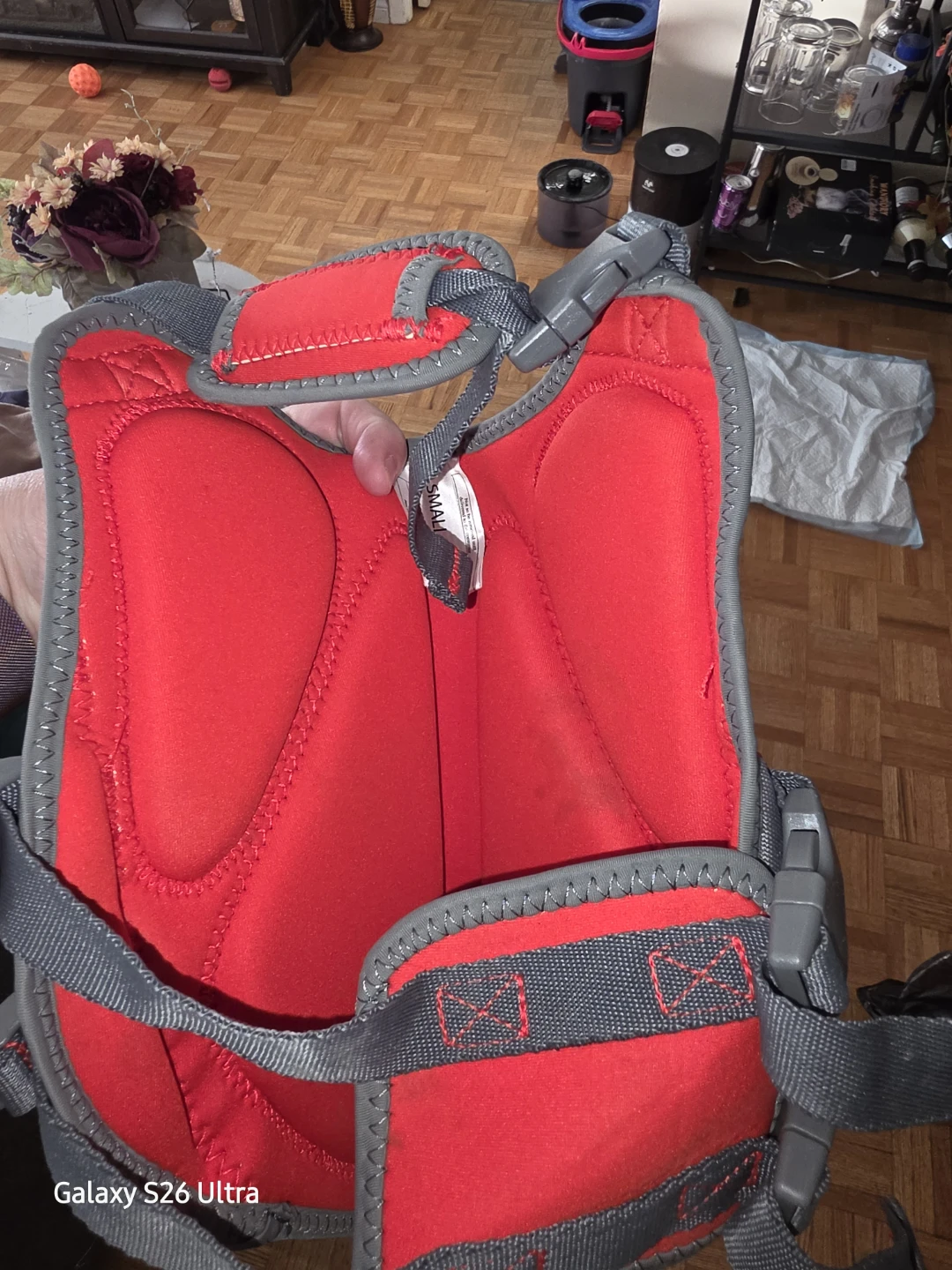 Small red dog life jacket