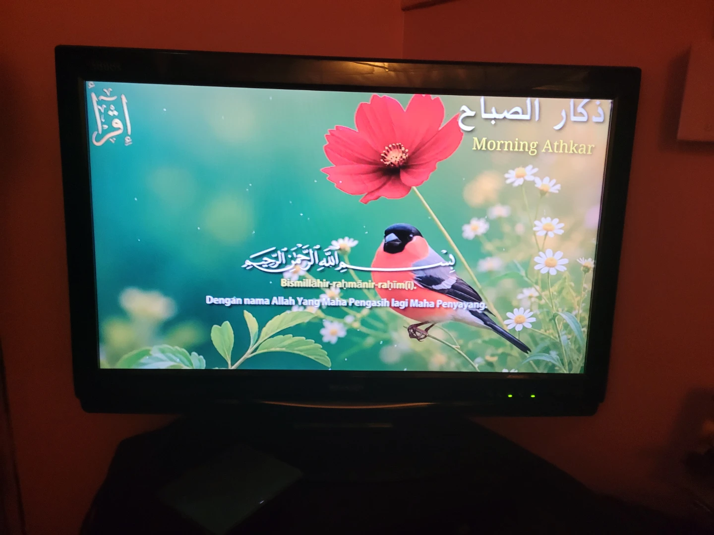 Sharp LCD Television