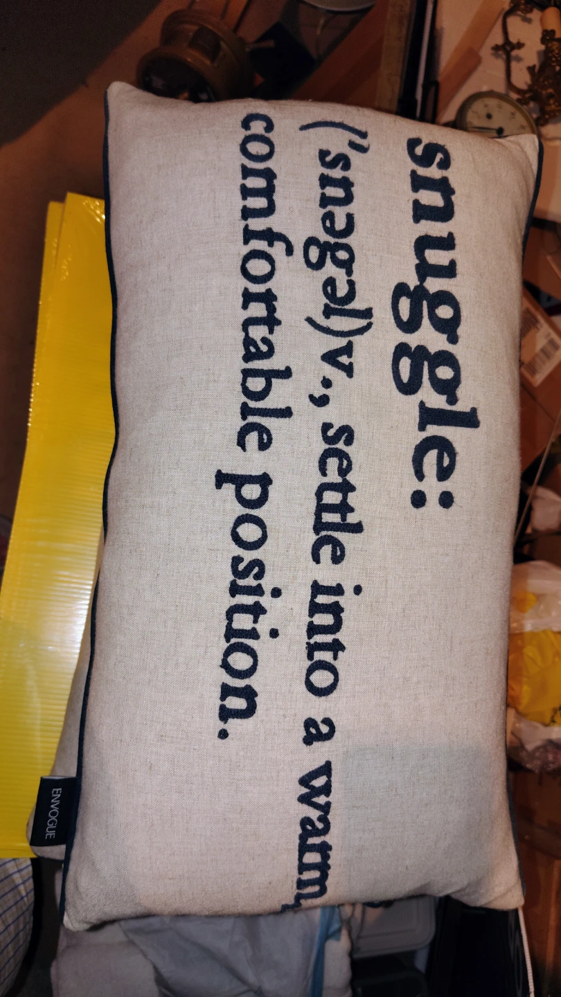 Pair of Envogue Snuggle Decorative Cushions