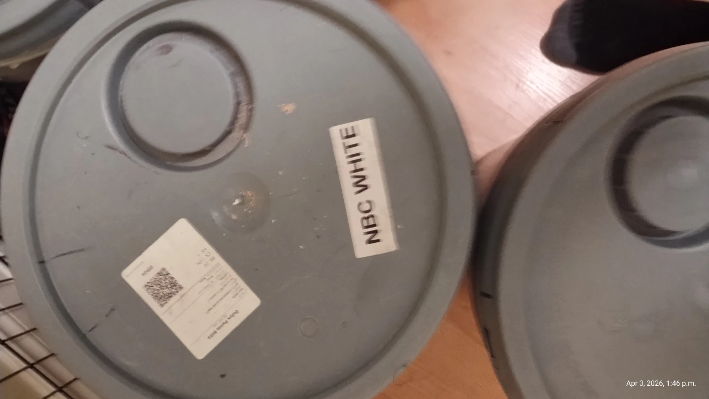 Dulux Paints 8454 NBC White Paint Bucket