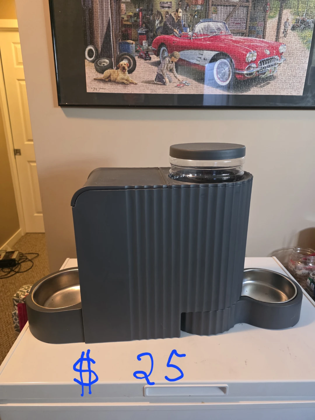 Automatic Pet Feeder