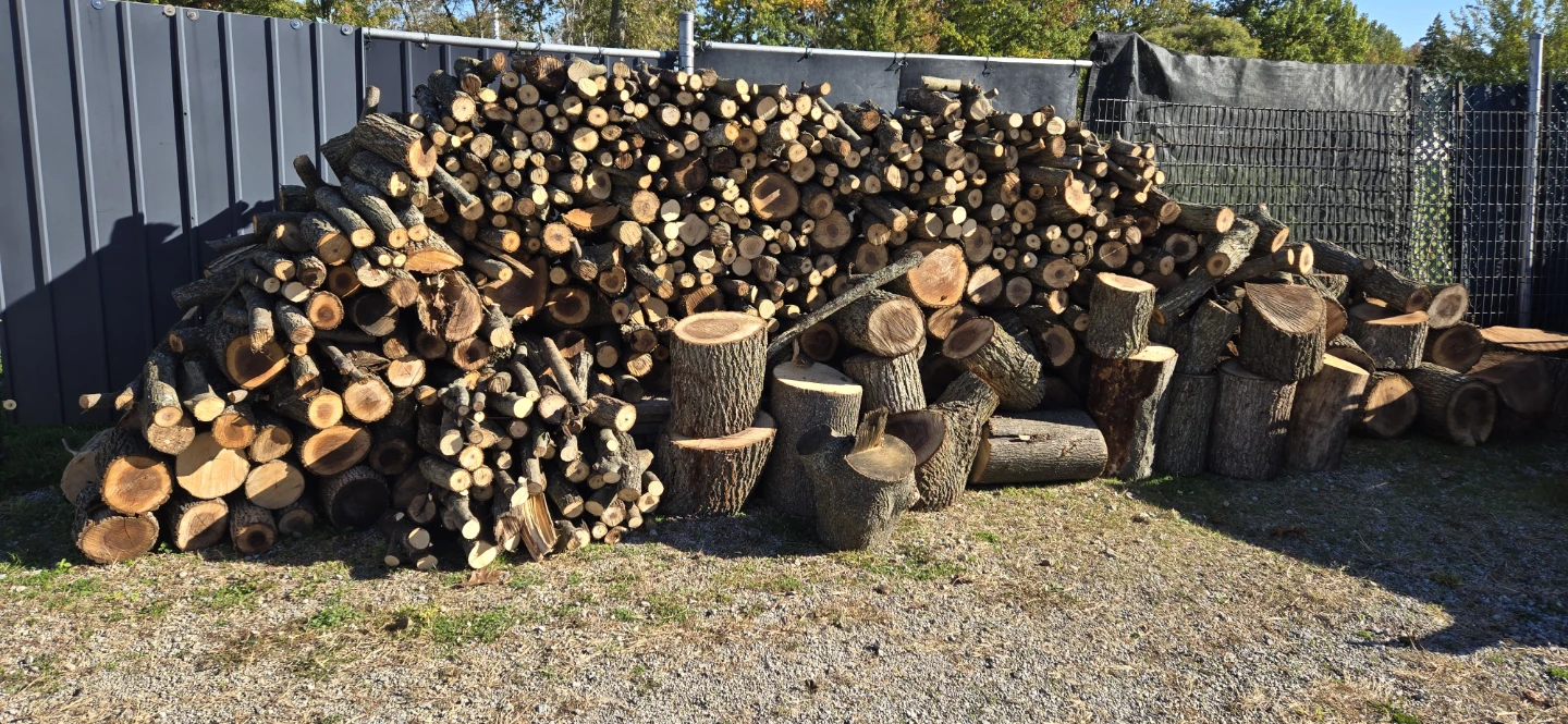 Firewood Logs - photo 2
