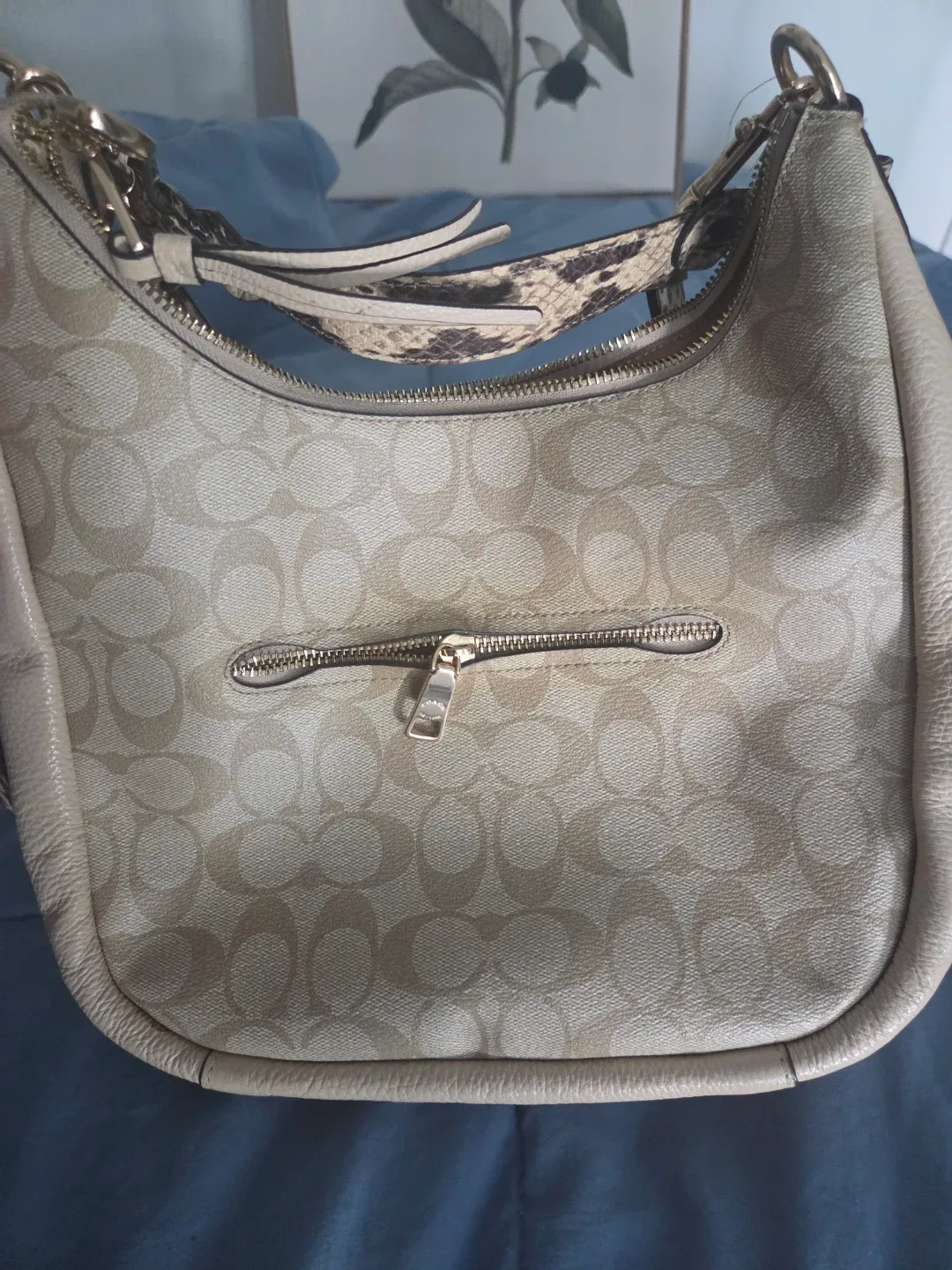 Coach Signature Hobo Bag with Snakeskin Detail - photo 3
