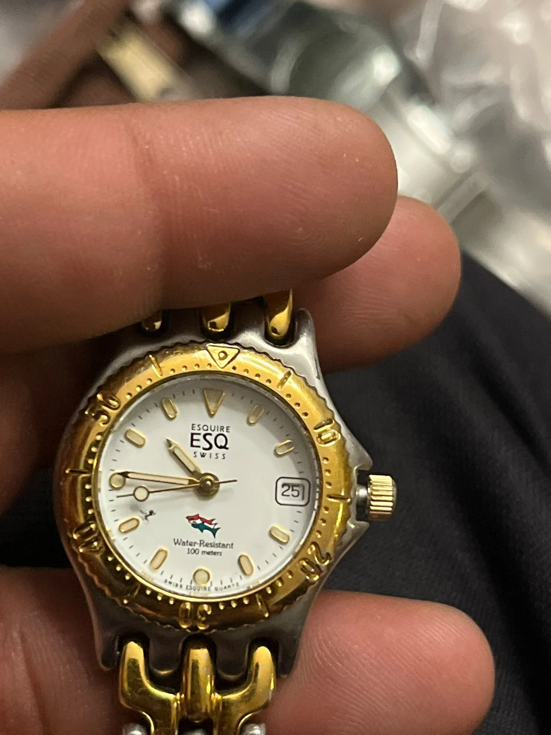 ESQ by Movado Swiss Watch