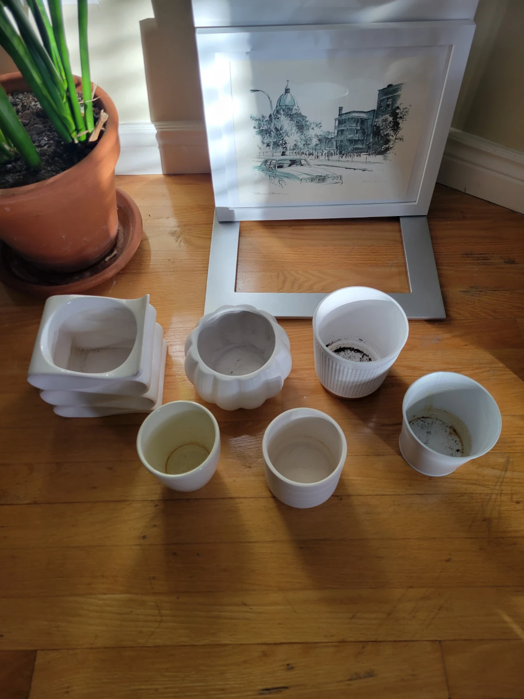 FREE Plant Pots - photo 2