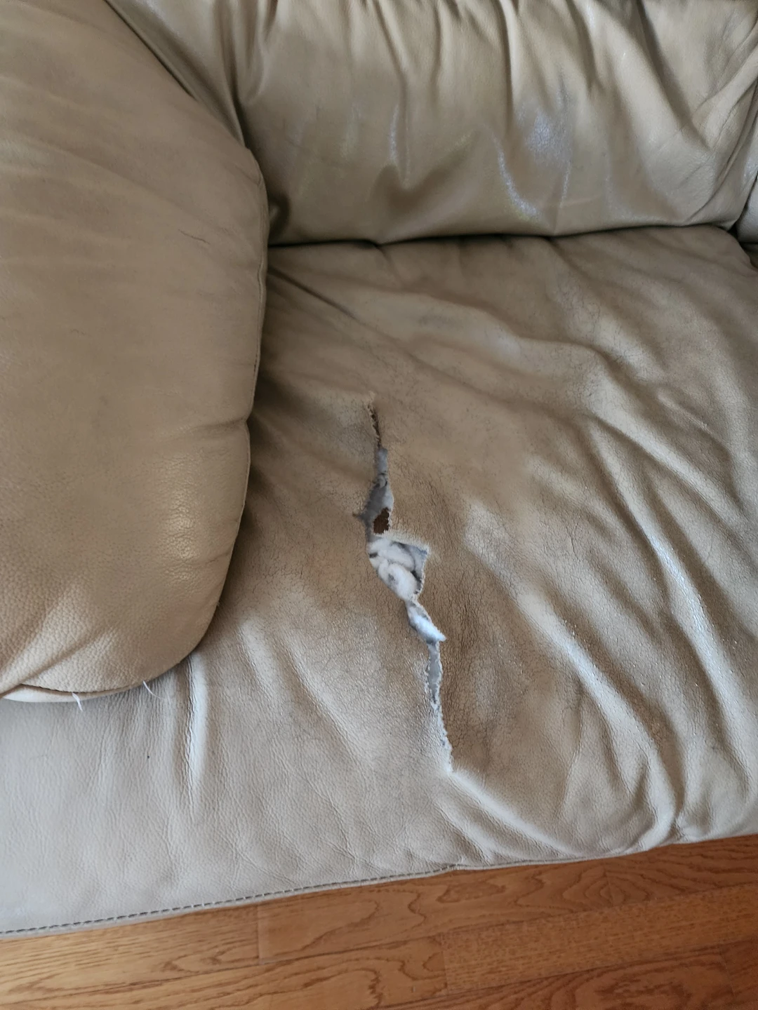Free couch genuine leather with rips - photo 3