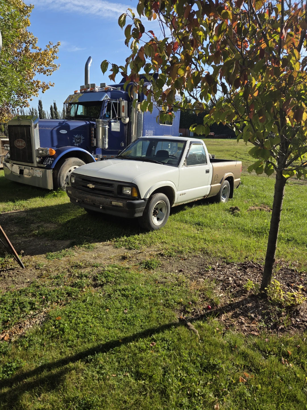 GMC Sonoma Truck Parts