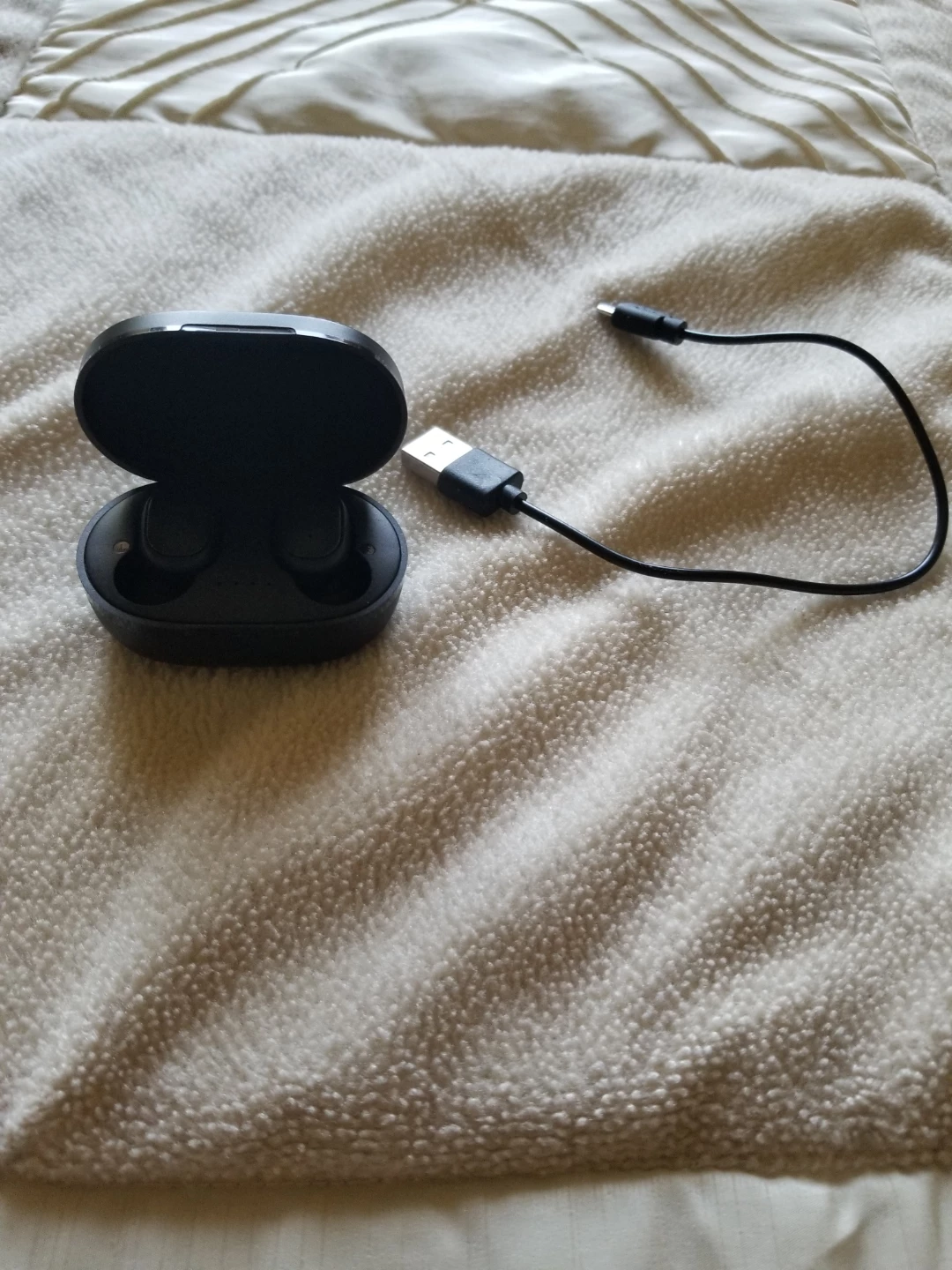 Black Ear Buds