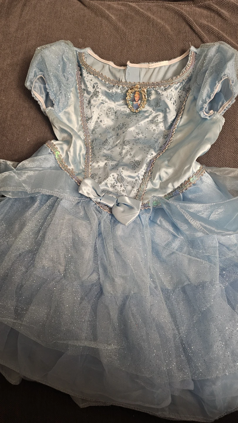 Disney Cinderella Costume Dress