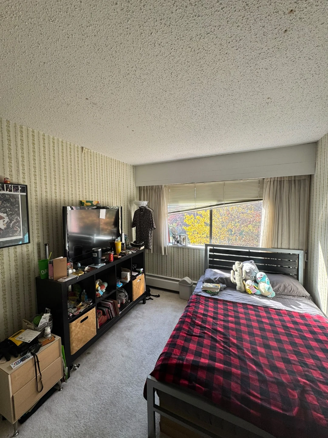 1 bedroom for rent - photo 3