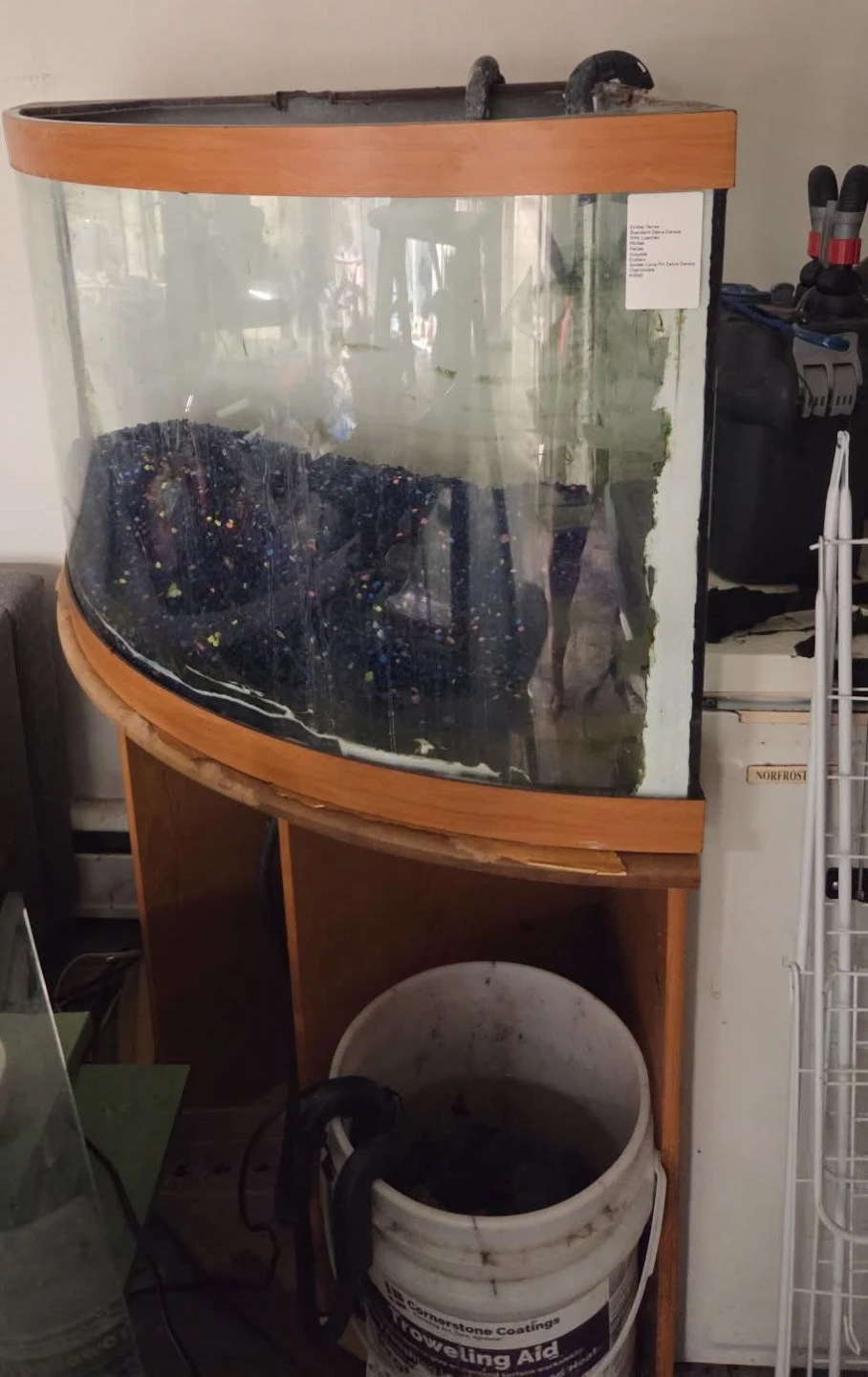 Bow Front Glass Fish Aquarium with Wooden Stand