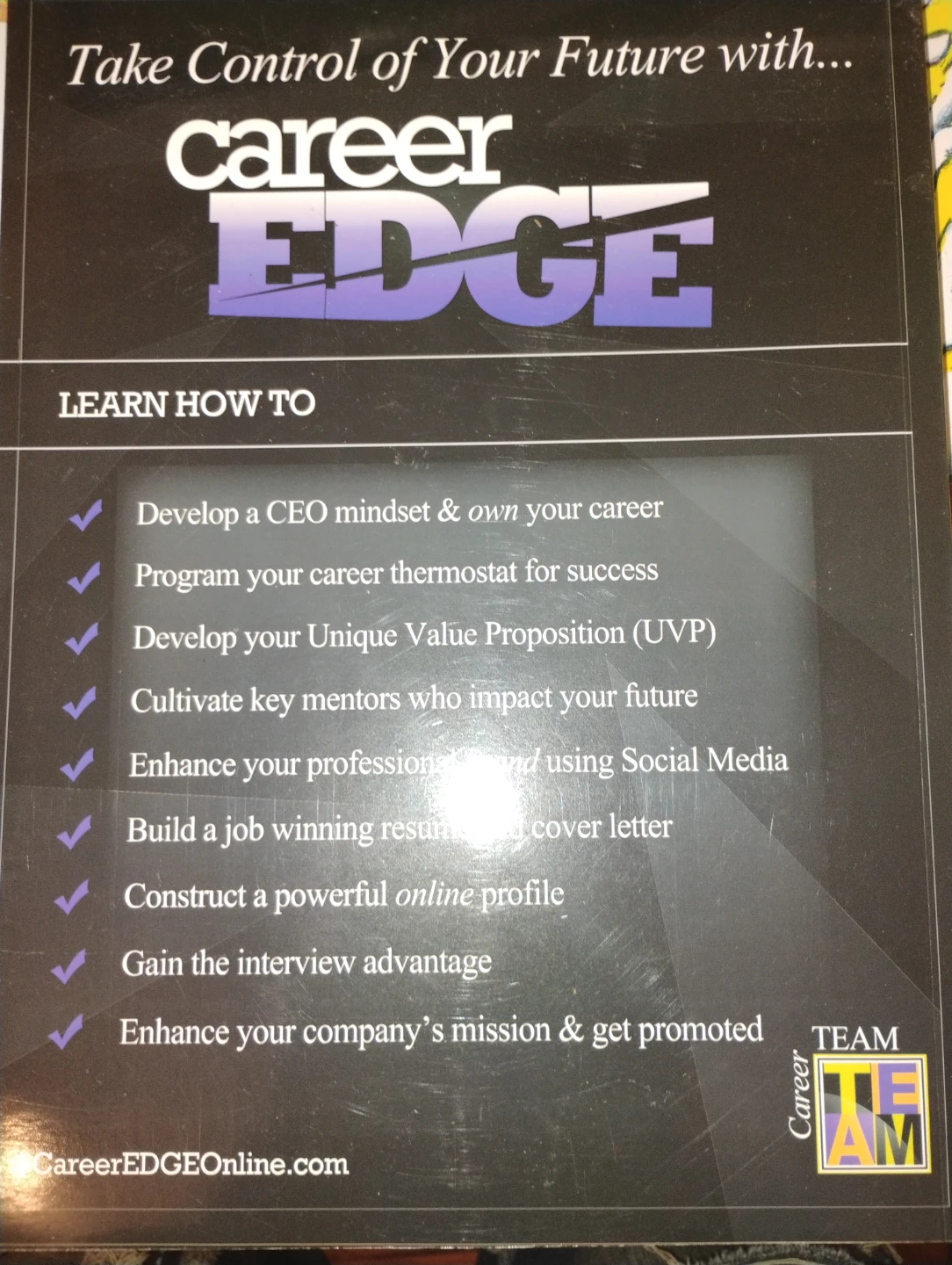 Career Edge book - photo 2