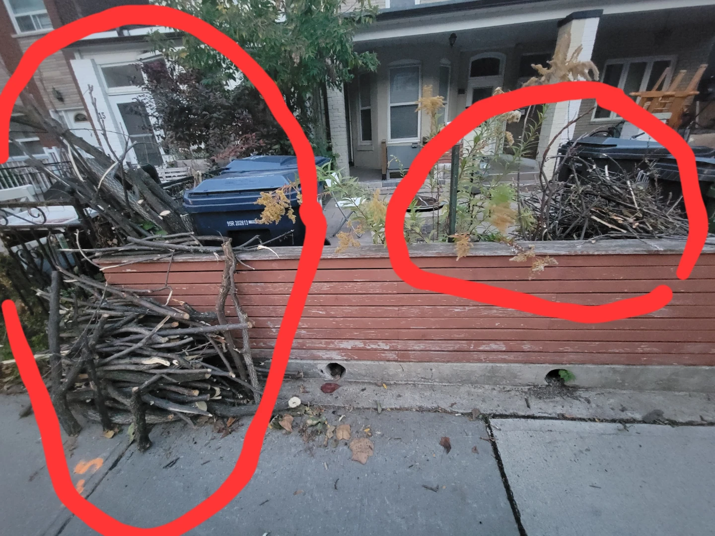 Free firewood sticks and tree branches