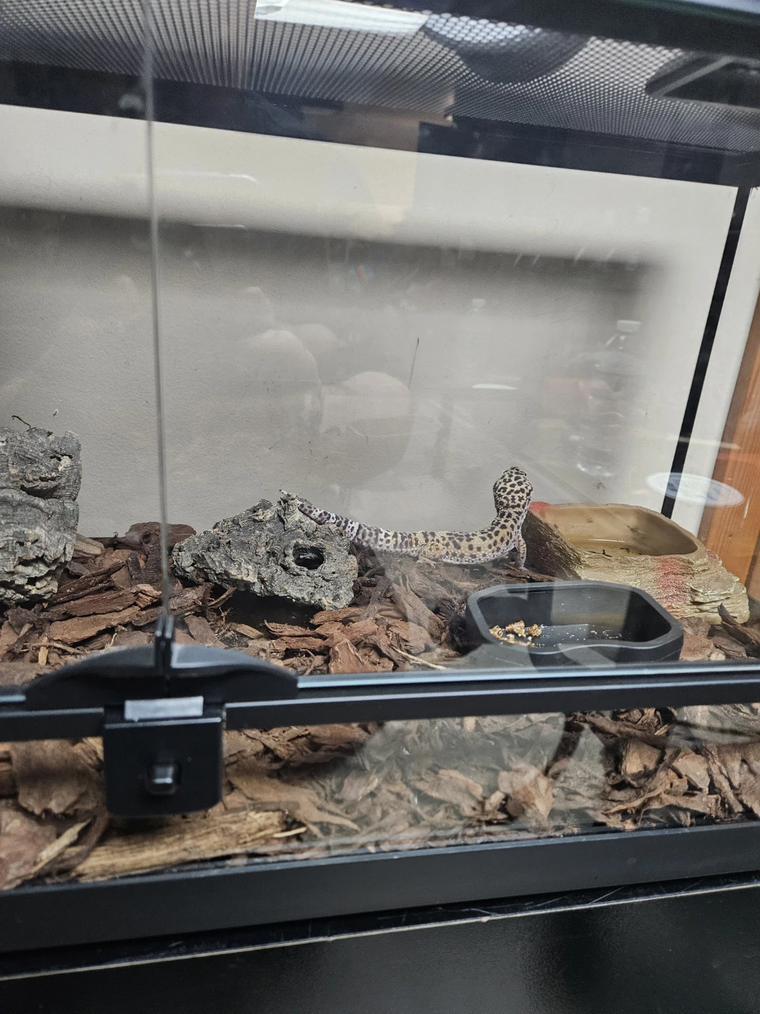 Glass Reptile Terrarium with Cabinet Stand - photo 2