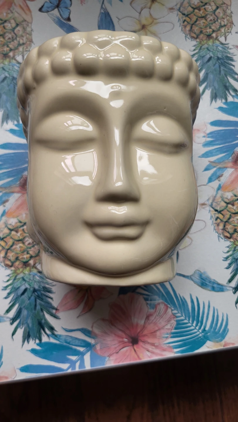 Difference disign Ceramic planter - photo 3