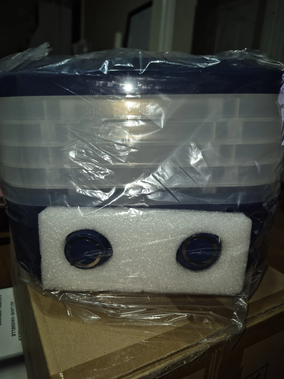 New Fruit Dryer - photo 2