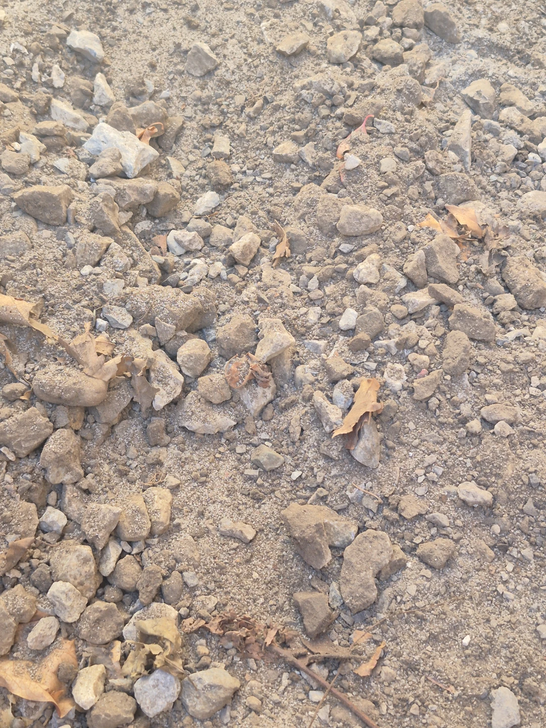 FILL WITH GRAVEL AND DIRT