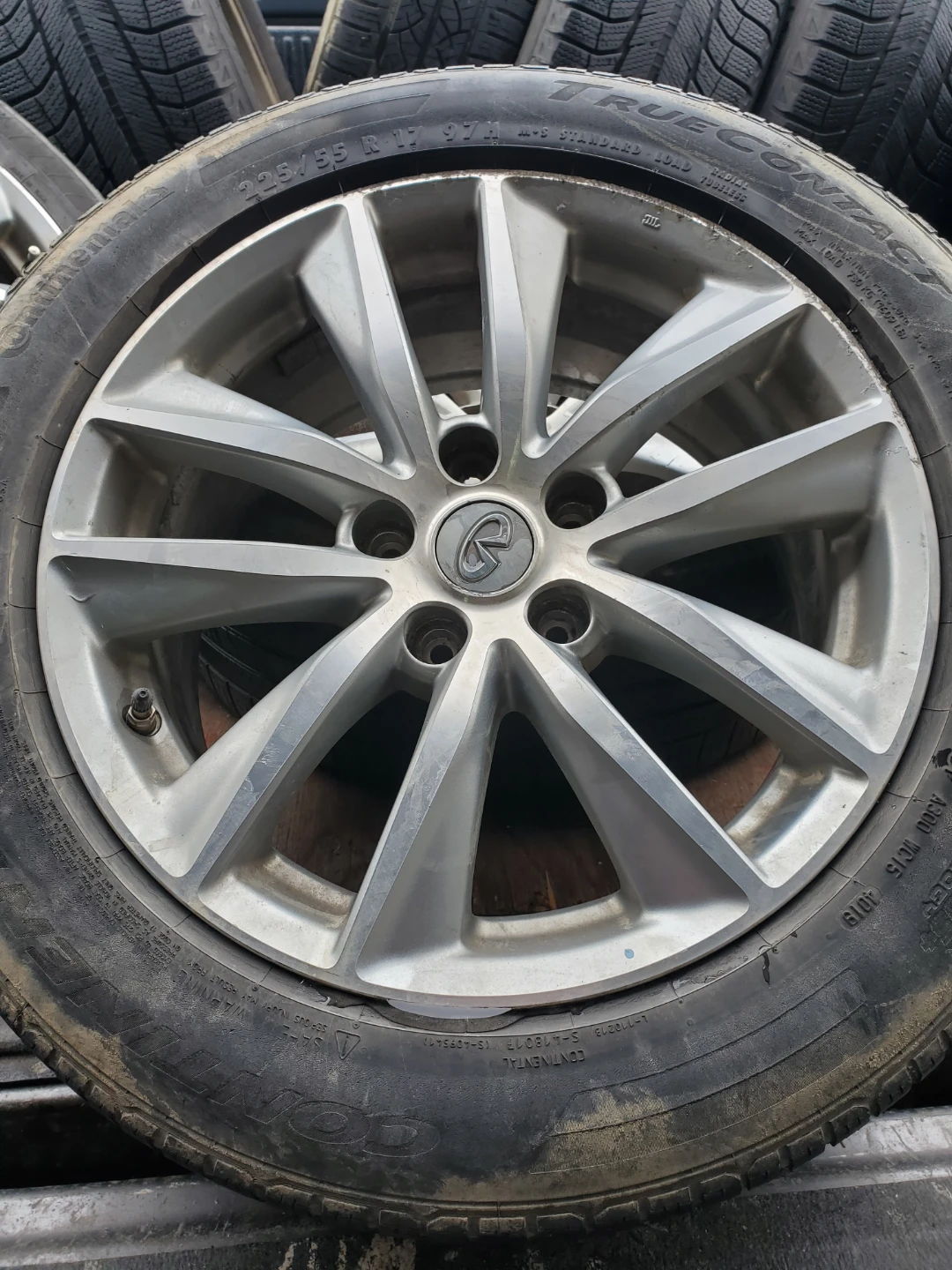 Infinity q50 rims