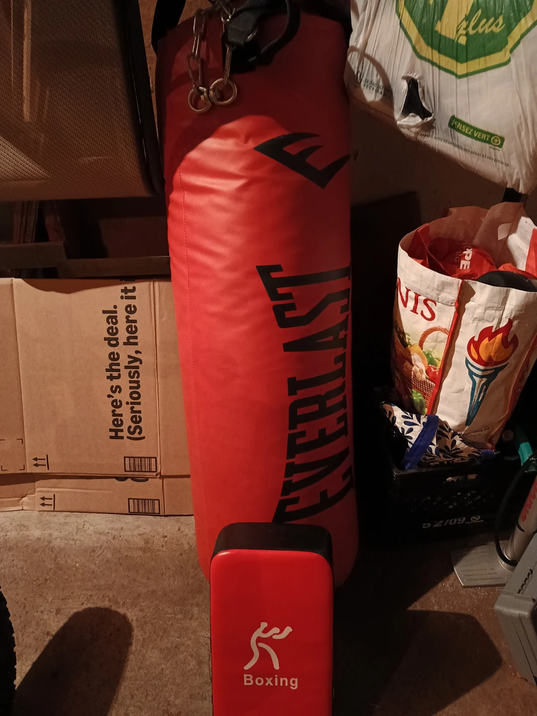 Everlast punching bag and training pad(100 pounds) - photo 2