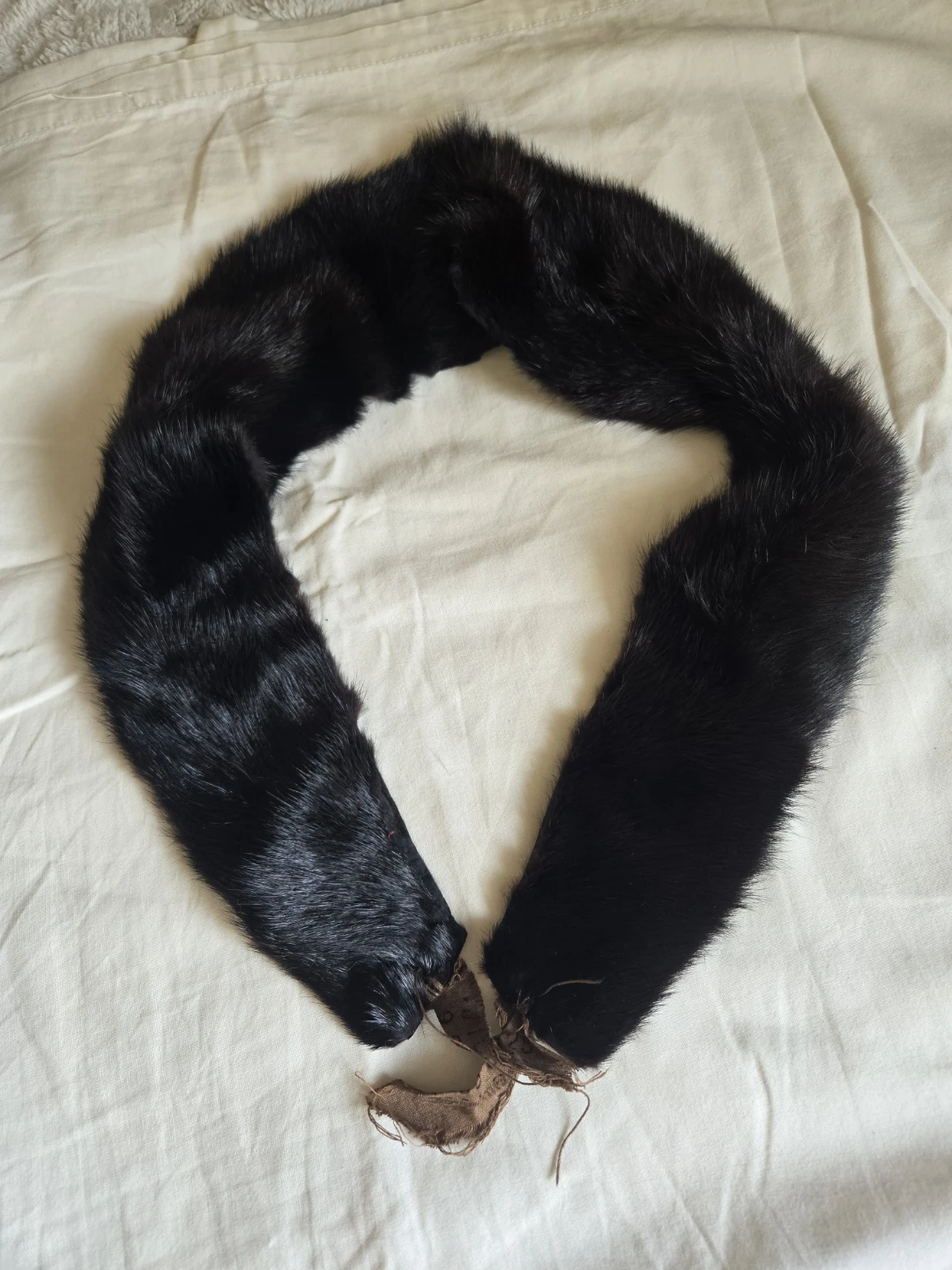 Black Fur Collar (Vintage)