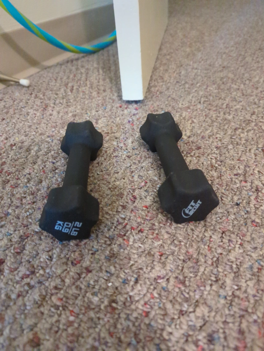 Fit Circuit 2 lb Dumbbells