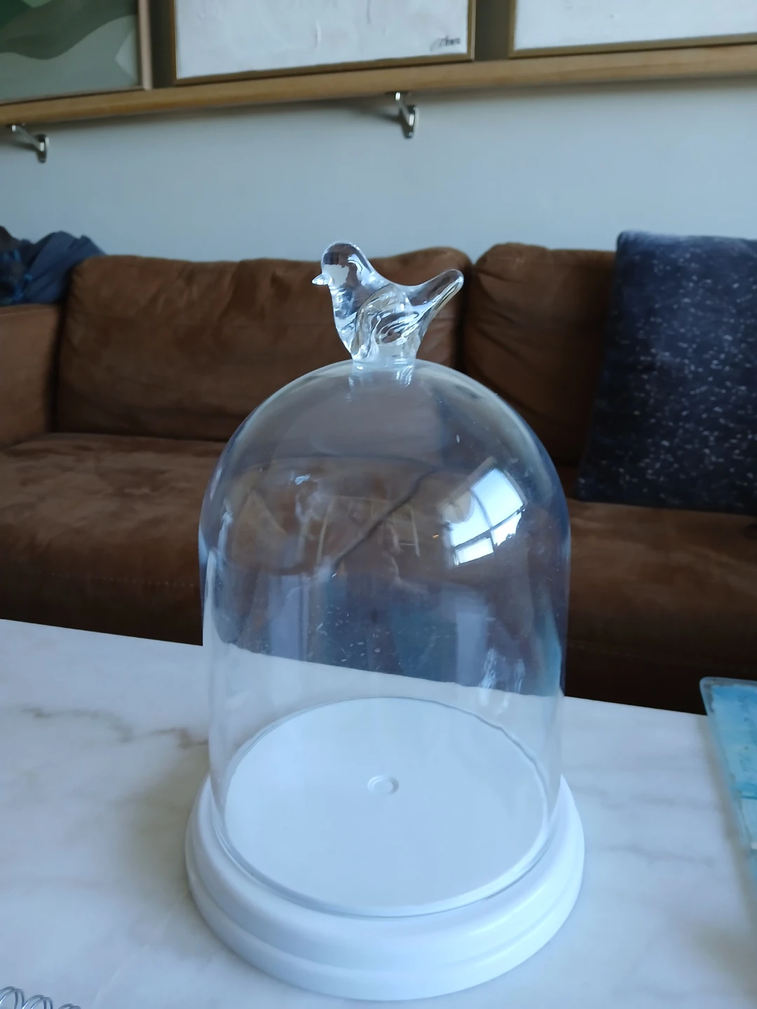 Glass Cloche with Bird Handle