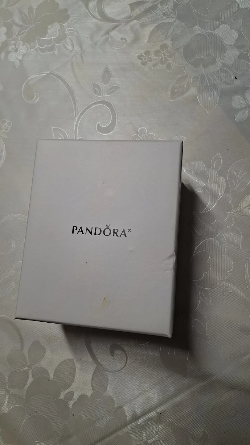 Pandora Ceramic Ornament - photo 4