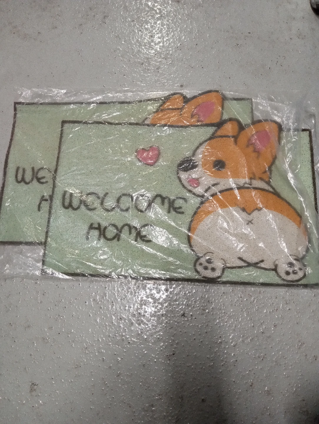 Branch new home doormats $10 set of 2.