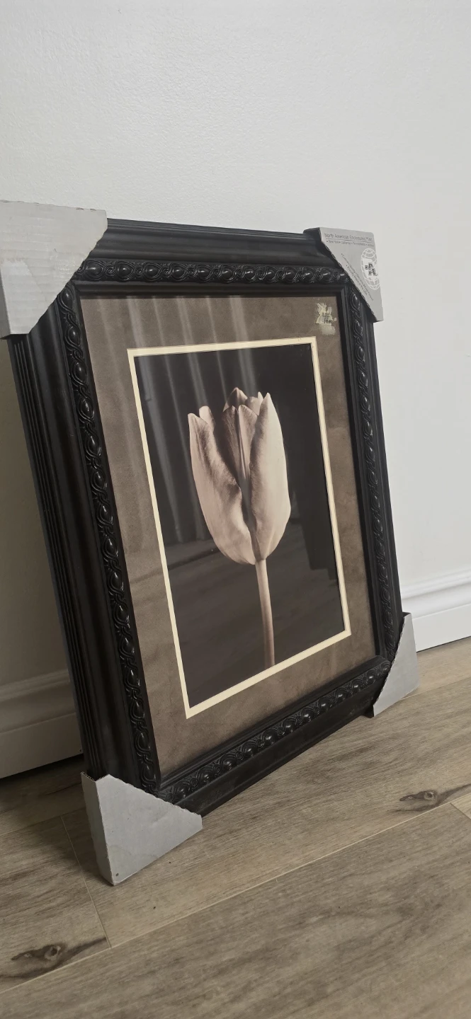 2 Decorative Floral Wall Art Frames - photo 2