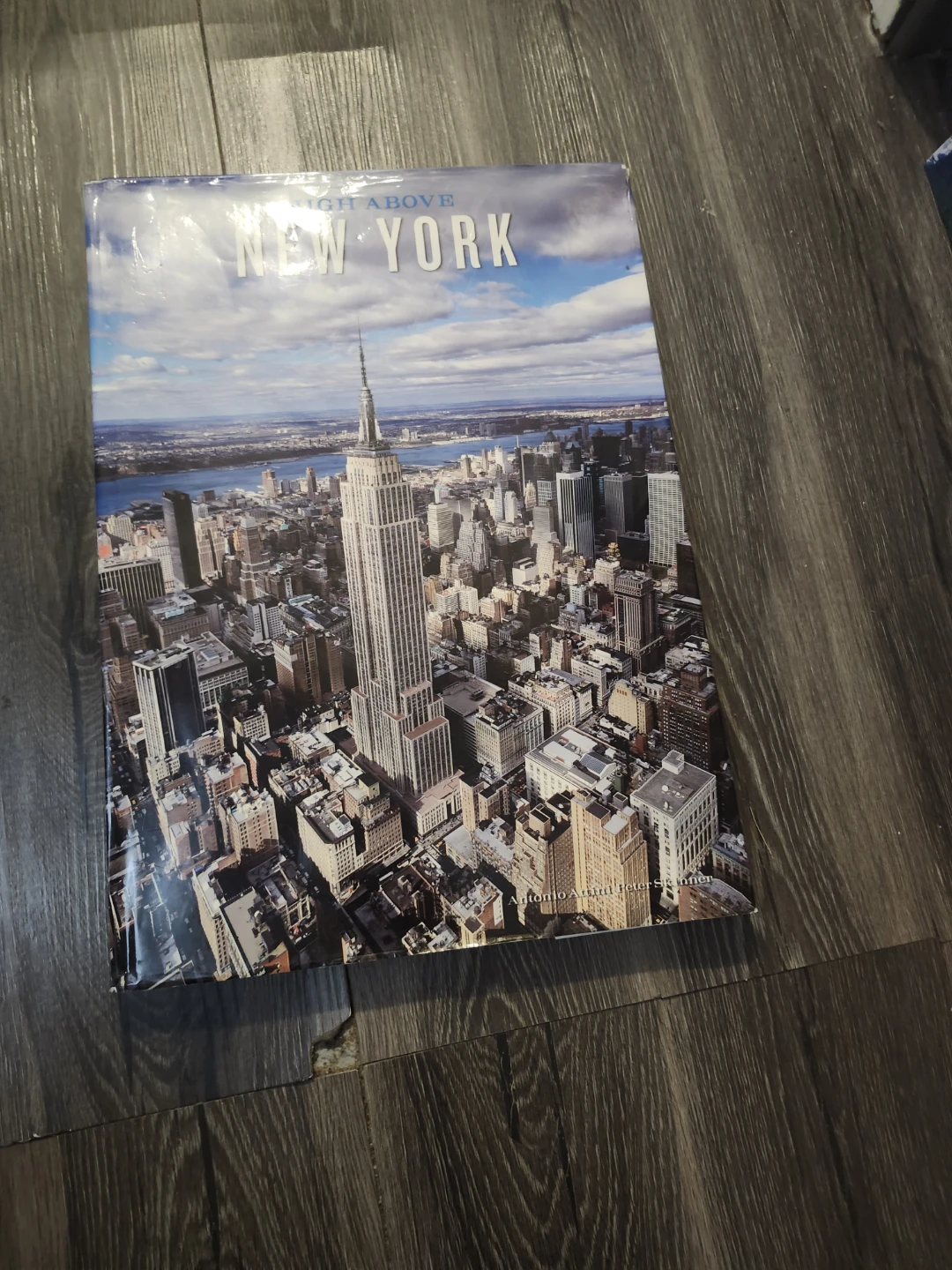 High Above New York Coffee Table Book - photo 4