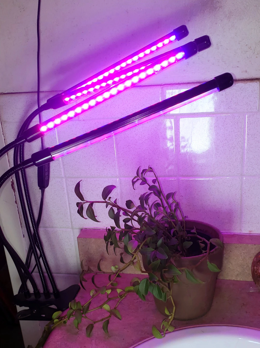 4-Head LED Grow Light Full Spectrum Plant Light with Auto Timer