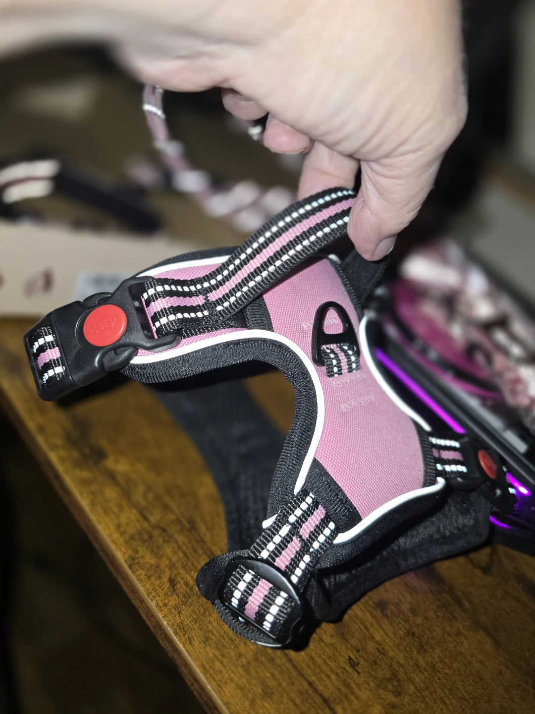 Lobeve Pink Dog Harness, Collar and Leash Set - photo 3