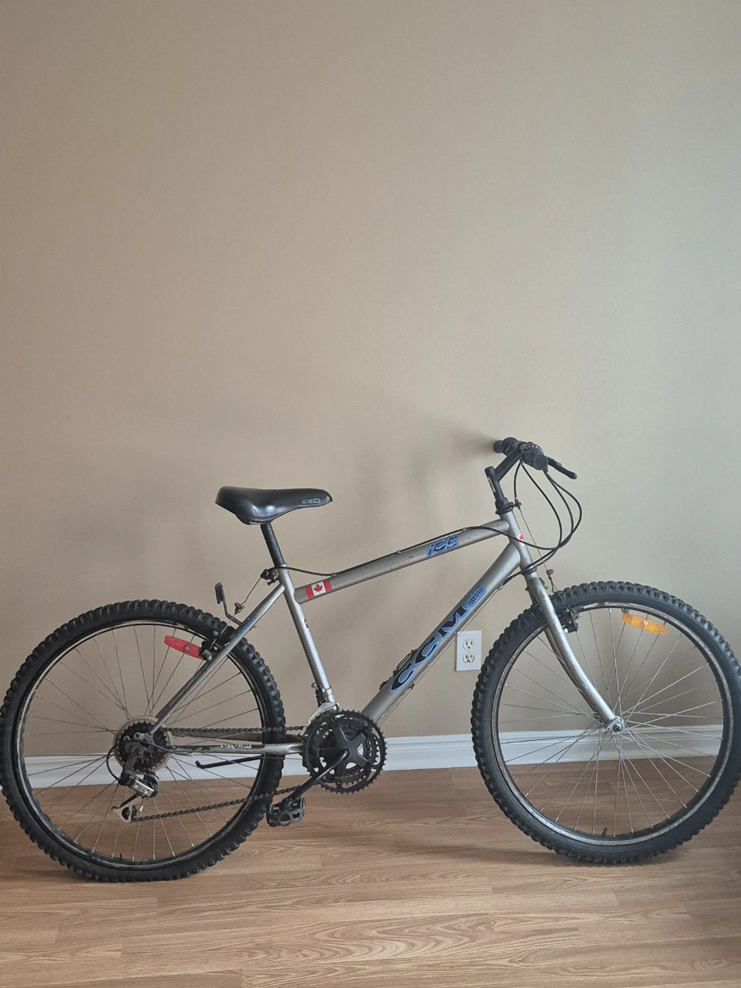 CCM Ice Mountain Bike