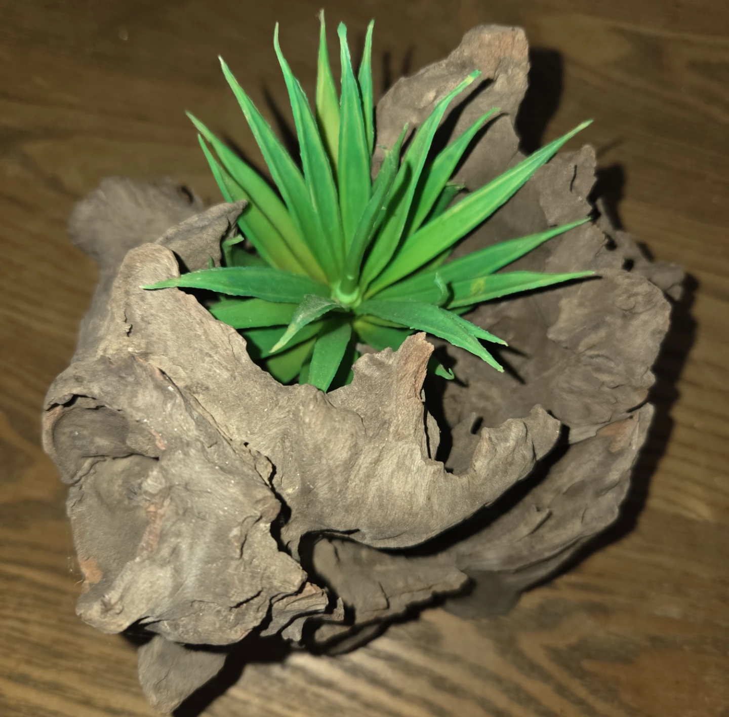 Driftwood Planter with Artificial Succulent