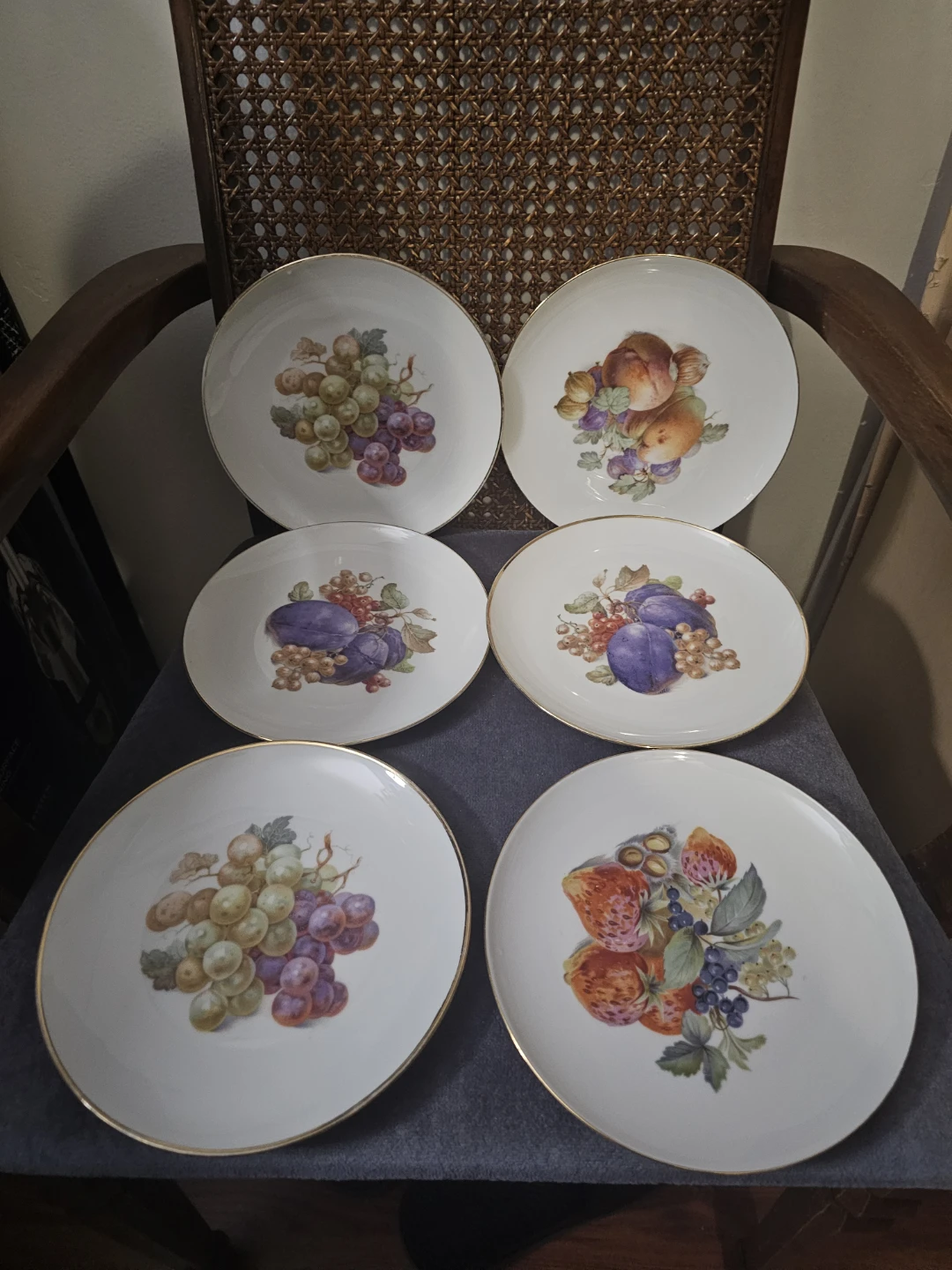Set of 6 Winterling Germany Fruit Motif Plates