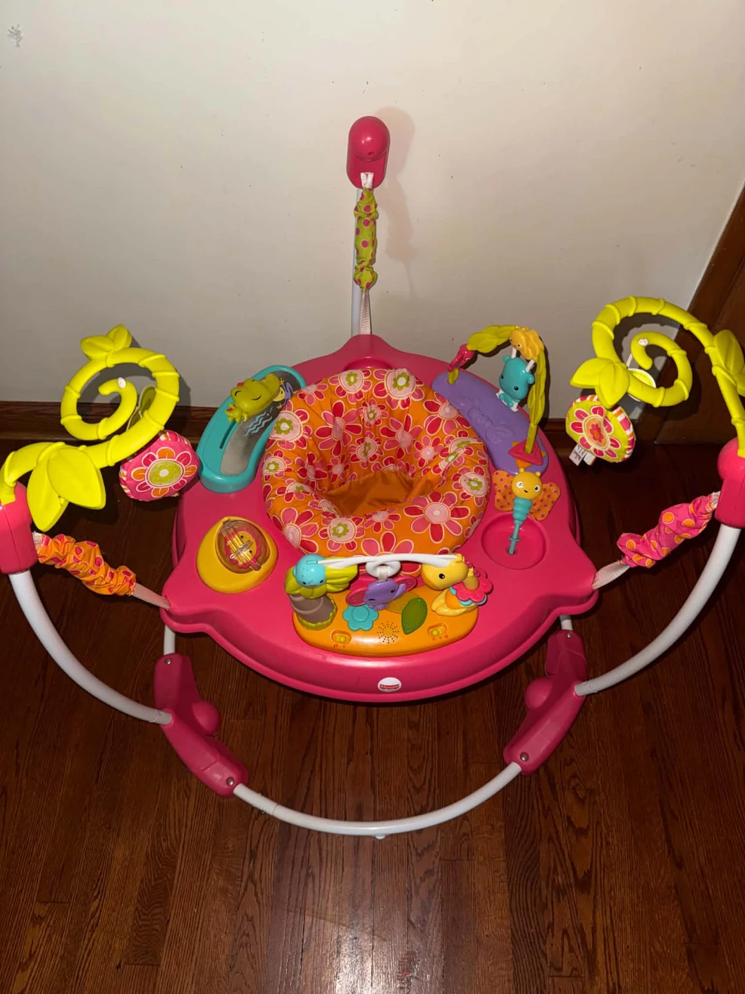 Fisher-Price Baby Jumperoo