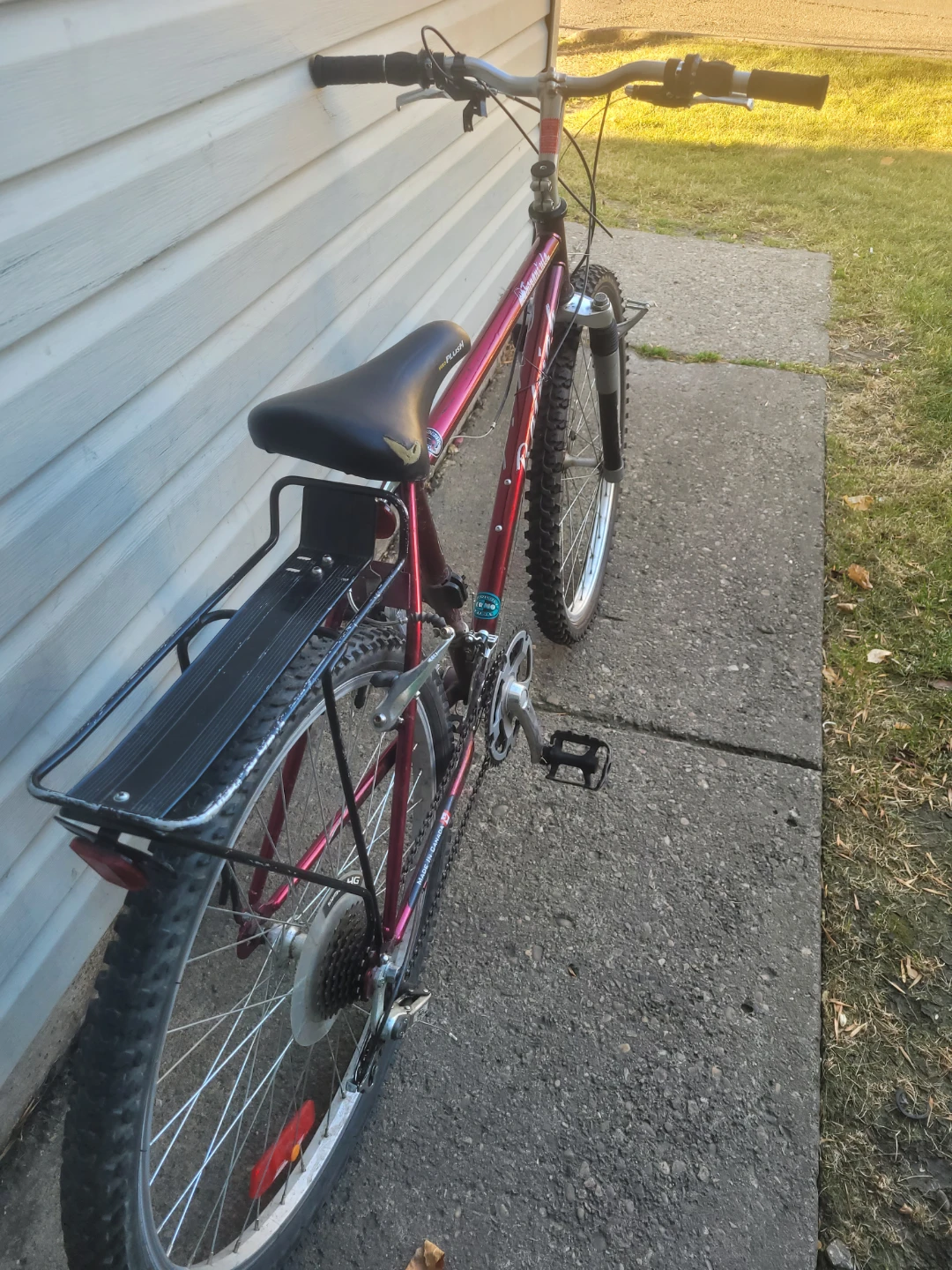 Raleigh Mountain Bike