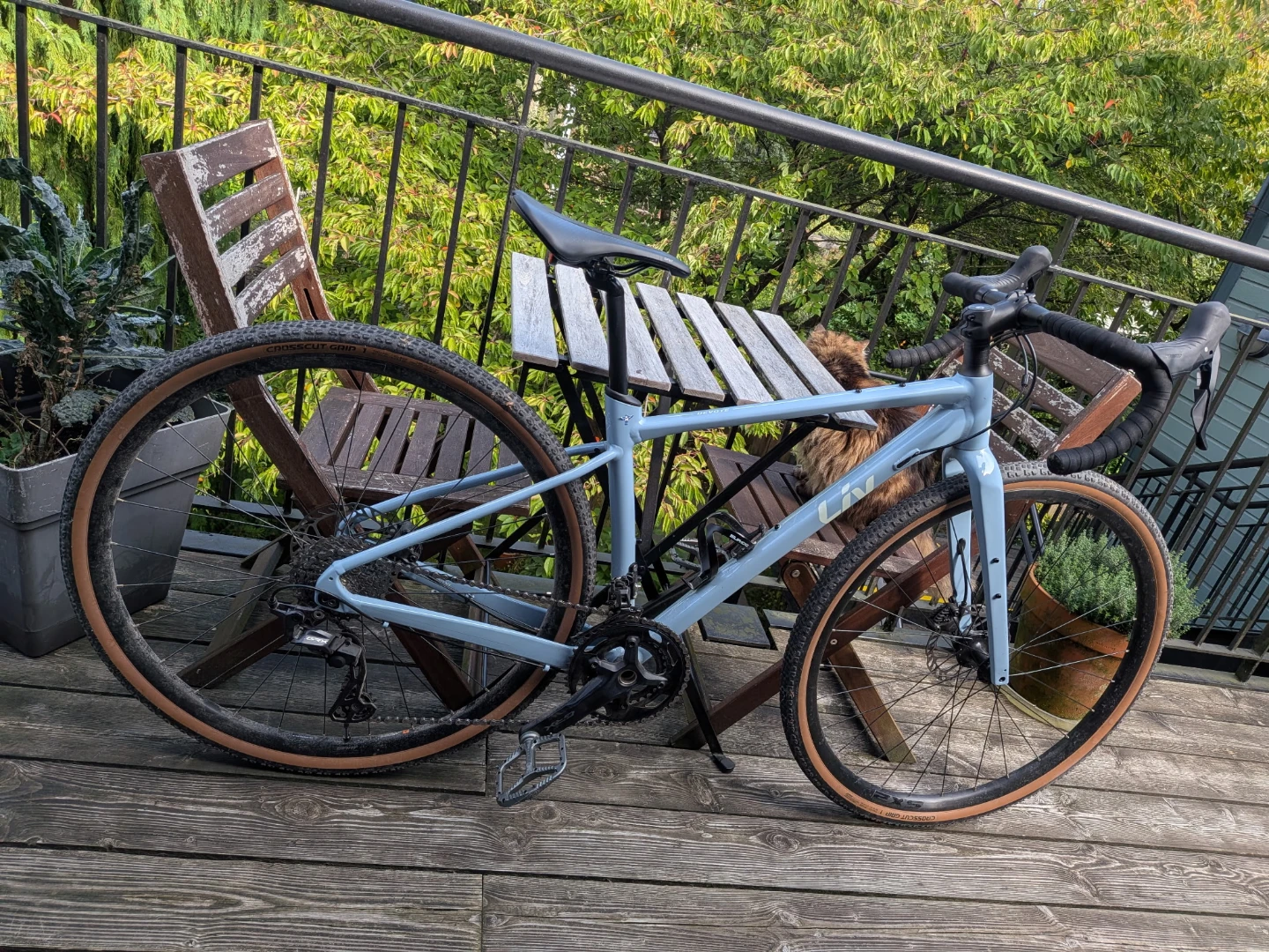 Liv Devote 0 - GRX 12 Speed 2x - Small