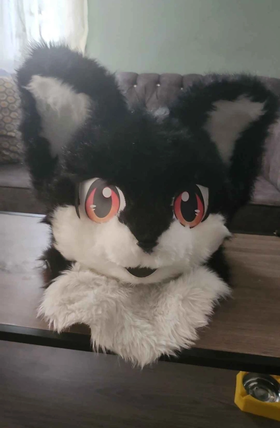 Fursuit Head - Black and White Cat