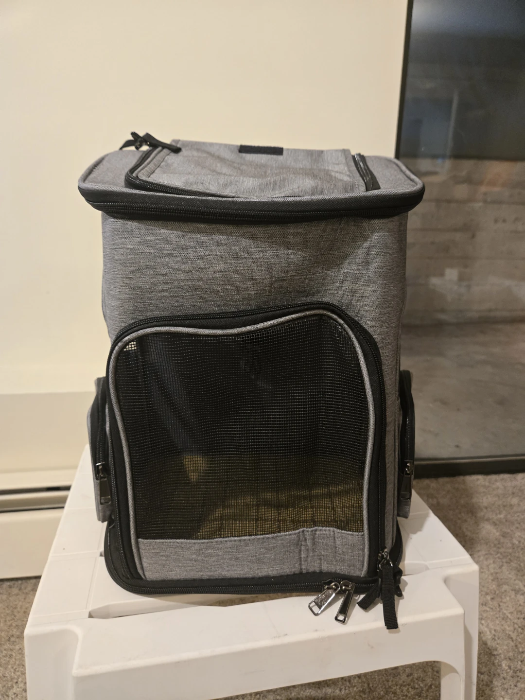 Pet carrier backpack