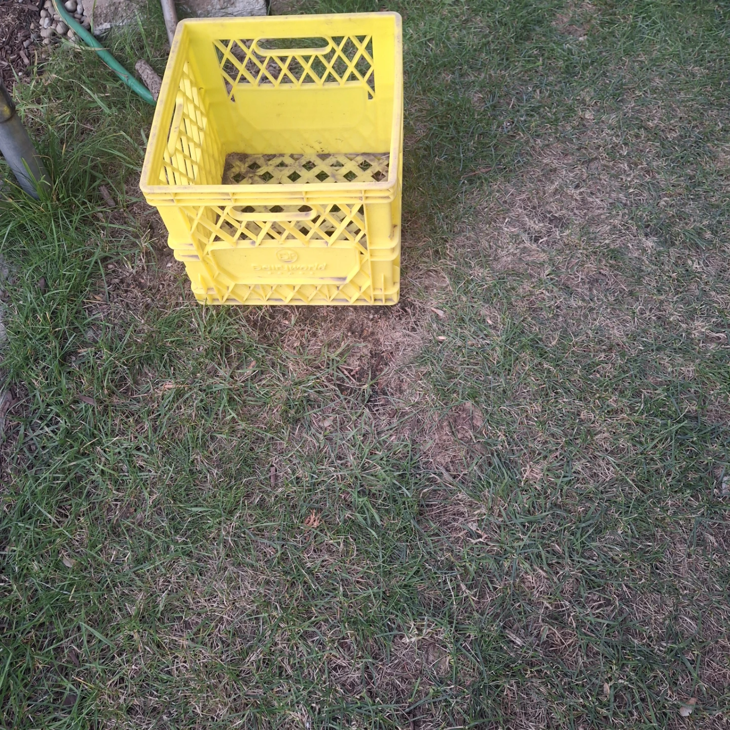 Yellow Plastic Milk Crate - photo 2