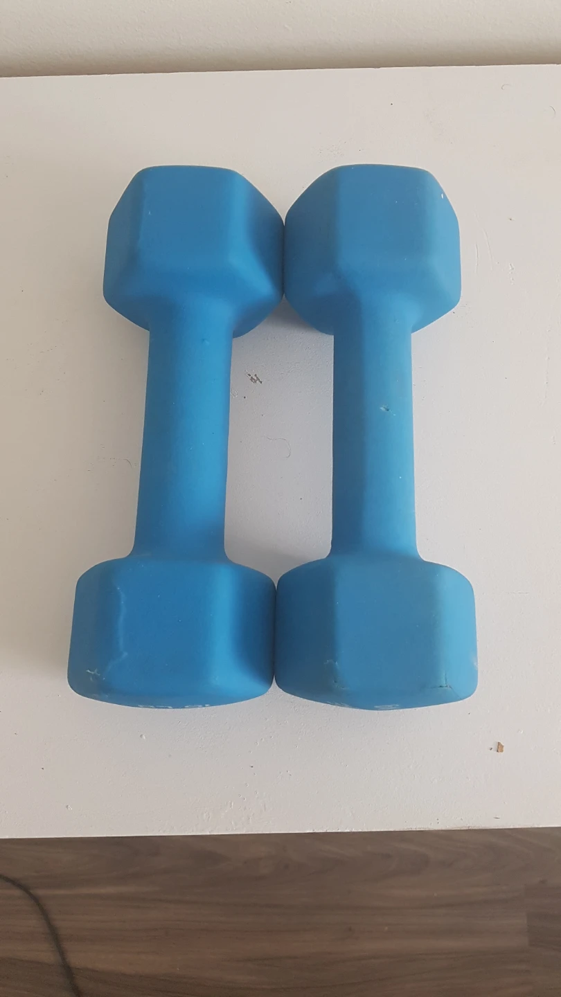 GoZone 10lb Dumbbells