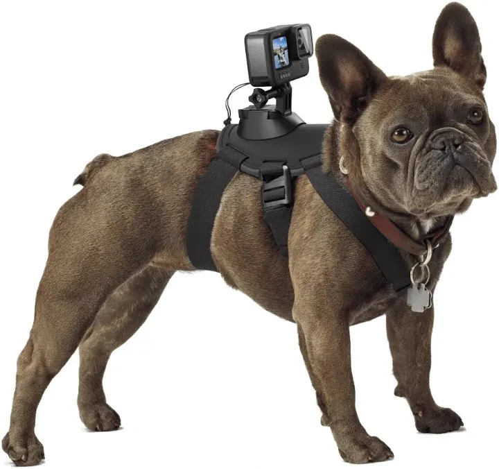 NEW! GoPro Camera Dog Harness (fits 20 to 120lbs!) - photo 3