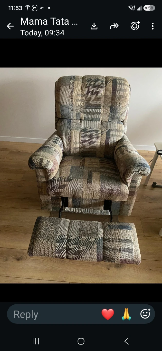 Patterned Reclining Armchair